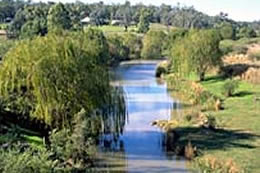 Reedy Creek