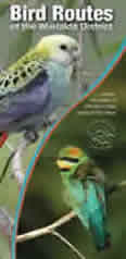 bird brochure