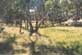 nature walk