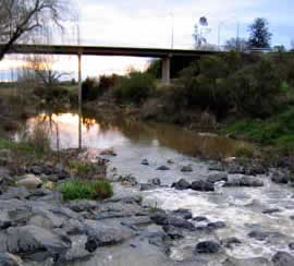 Reedy Creek Warialda
