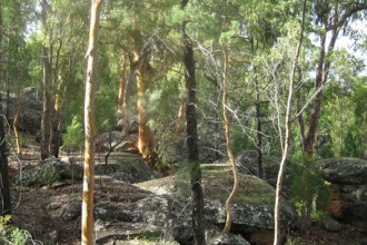 Koorilgur Nature Reserve